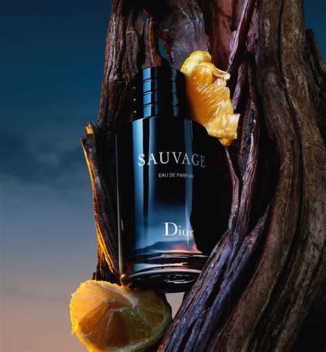 dior eu savage|gamme sauvage Dior.